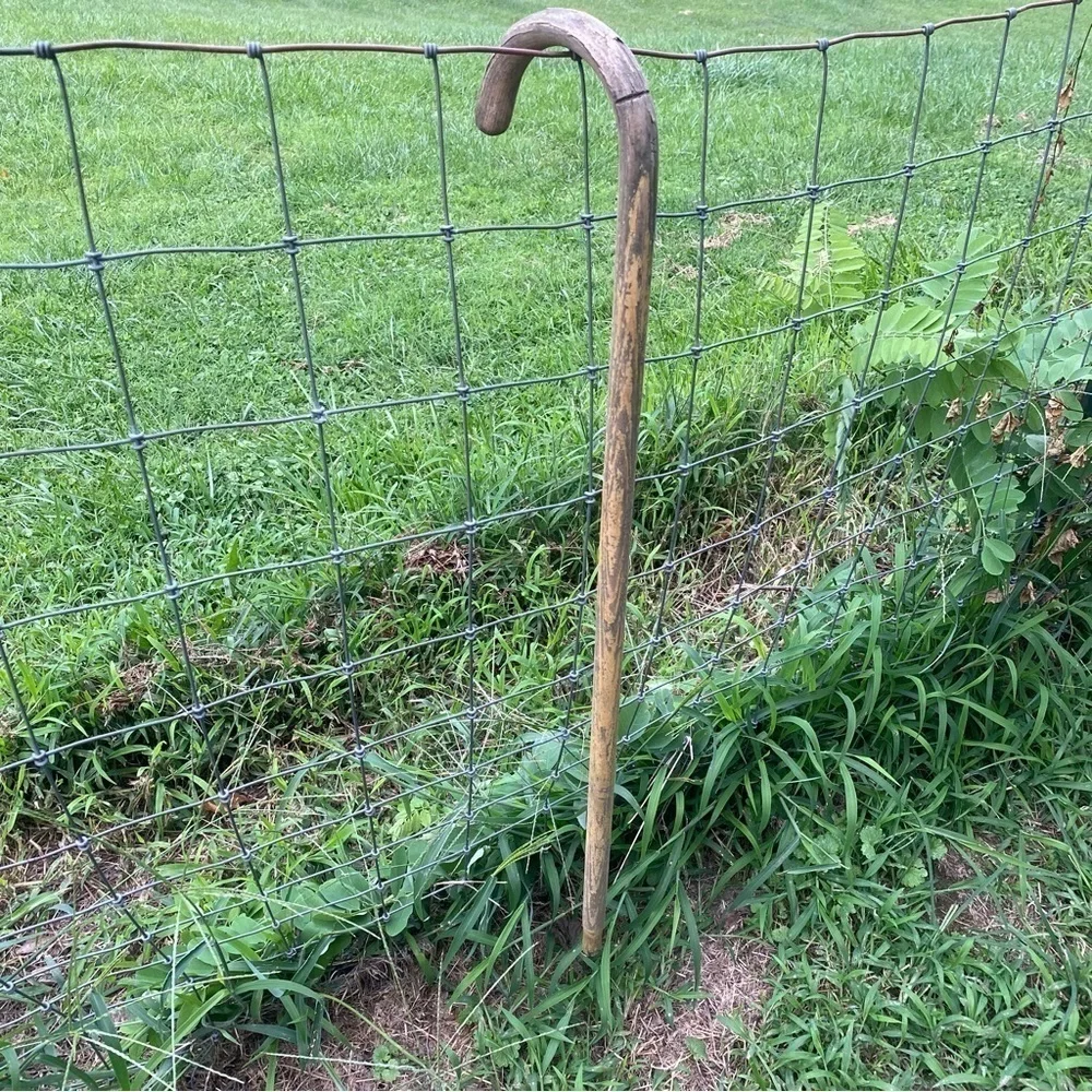Antique Vintage Weathered Wood Cane Home Decor